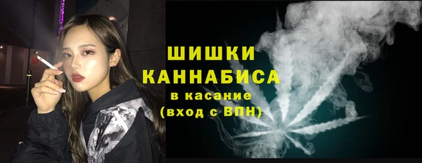 ПСИЛОЦИБИНОВЫЕ ГРИБЫ Белоозёрский