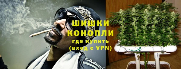 2c-b Белокуриха