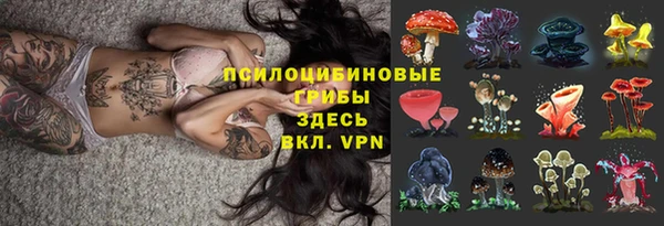 ALPHA PVP Беломорск