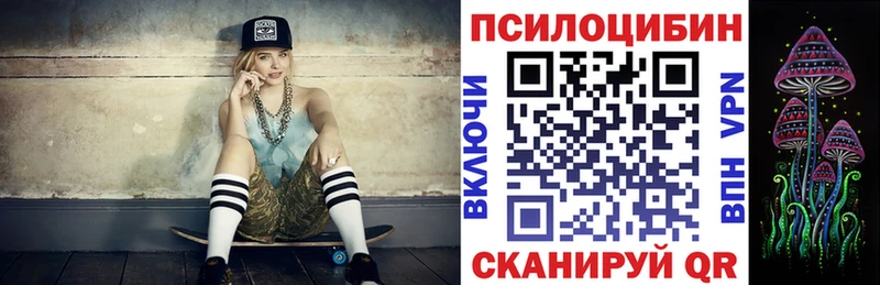 Купить где Барабинск Псилоцибиновые грибы мицелий